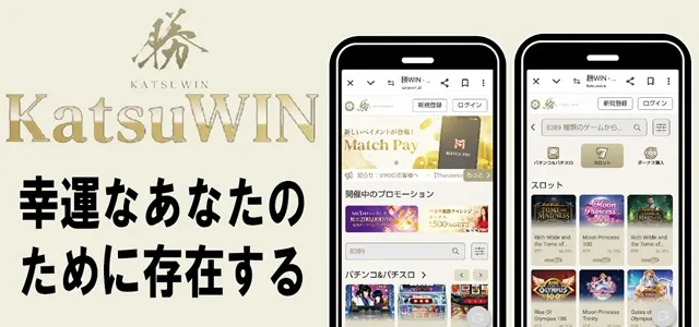 勝WINカジノ　オンカジナビ